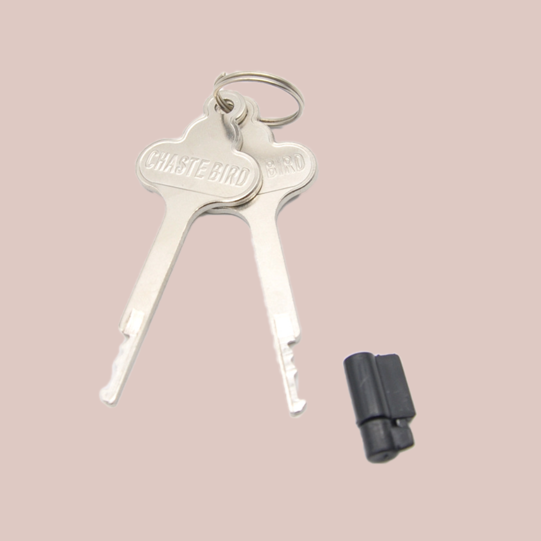 Replacement Stealth Plastic Lock For Chastity Cage | Keys & Locks ...