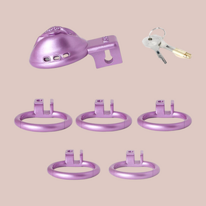 All of the elements that make up the Sissy Pussy BDSM Chastity cage. The cage, lock and keys, and 5 base rings.