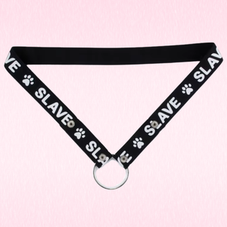 A front on view of the 2 way belt.