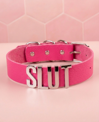 The cerise collar with silver letting on a soft pink background.