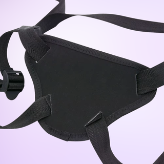 The rear view of the harness, it is shown on a purple background