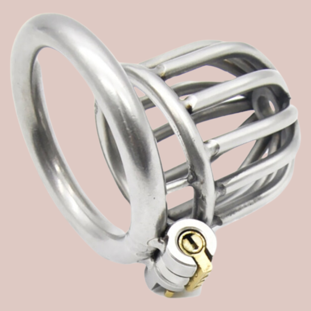 A back view of The Bird House Metal Chastity Cage, the base ring is in place and you can imagine how the chastity device would sit in place.