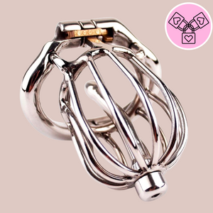 The Coop Metal Chastity Cage from House Of Chastity, shown here fully assembled with the cage, urethral tube and base ring locked in place.