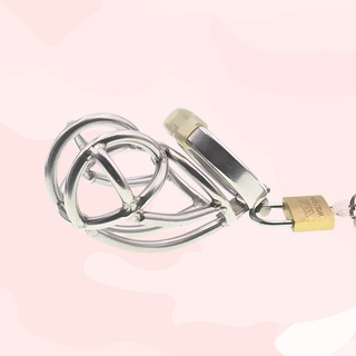 Hinged Bird Chastity Cage