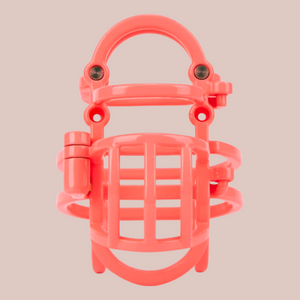 The Prison Cell Chastity Cage