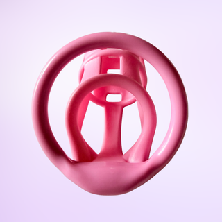 An internal view of the chastity cage