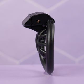 The Cobra Micro (Innie) Chastity Cage Kit