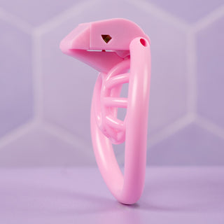 The Cobra Micro (Innie) Chastity Cage Kit