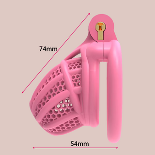 The Hive Chastity Cage Kit