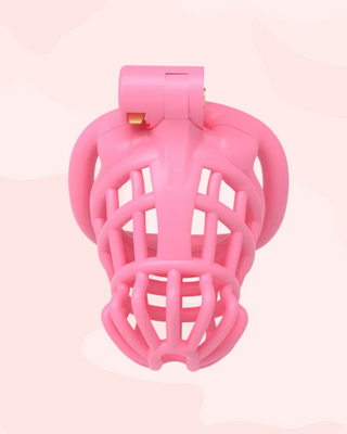 A view from above of the Jurassic Chastity Cage in pink