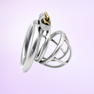 An angled view of the chastity cage on a purple background