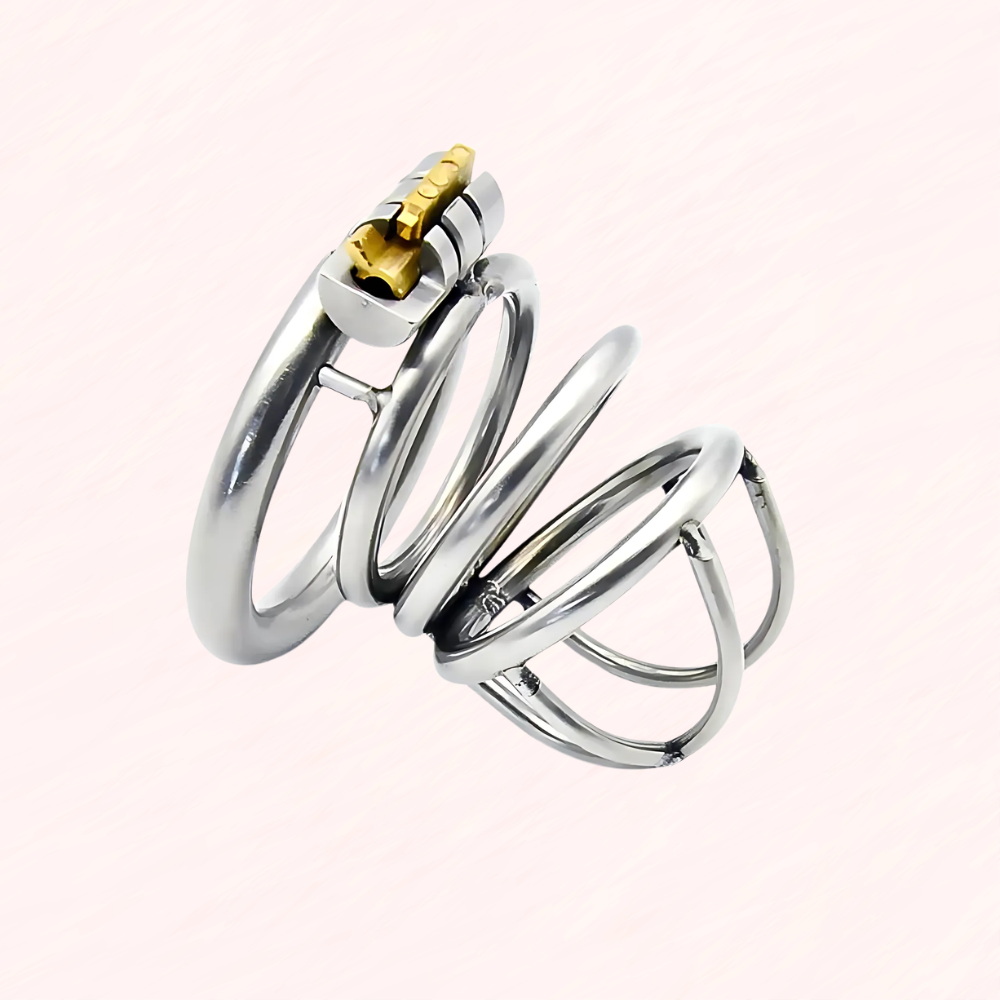 The Lock Up Standard Chastity Cage Small Metal House Of Chastity the-lock-up-standard-chastity-cage-small-metal-house-of-chastity