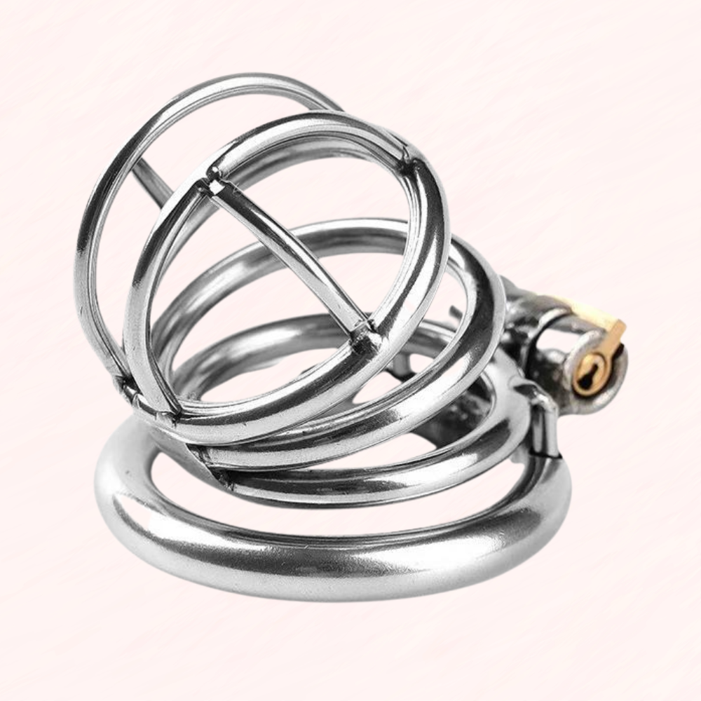 The Lock Up Standard Chastity Cage Small Metal House Of Chastity the-lock-up-standard-chastity-cage-small-metal-house-of-chastity