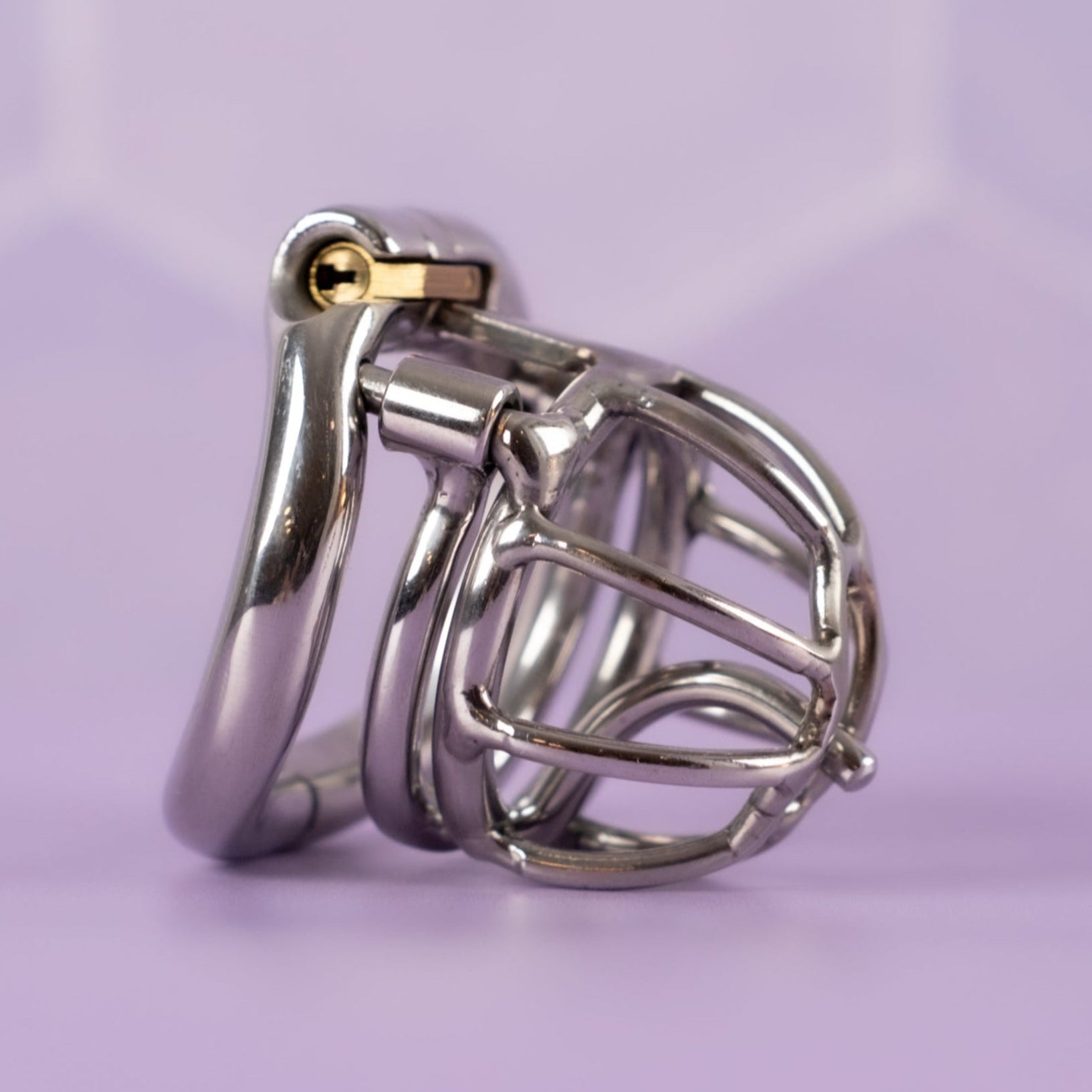 The PA Puncture Restraint Chastity Cage