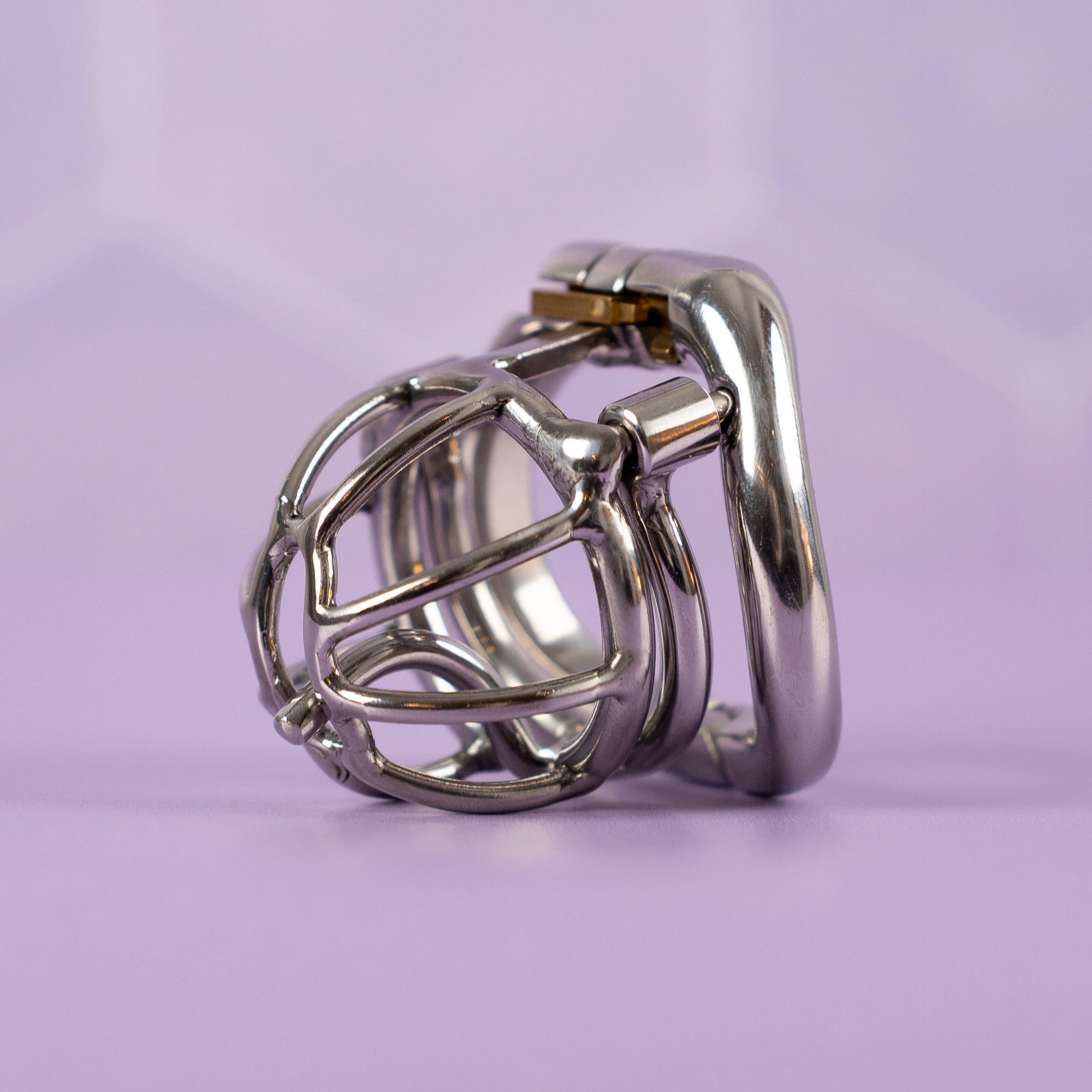 The PA Puncture Restraint Chastity Cage