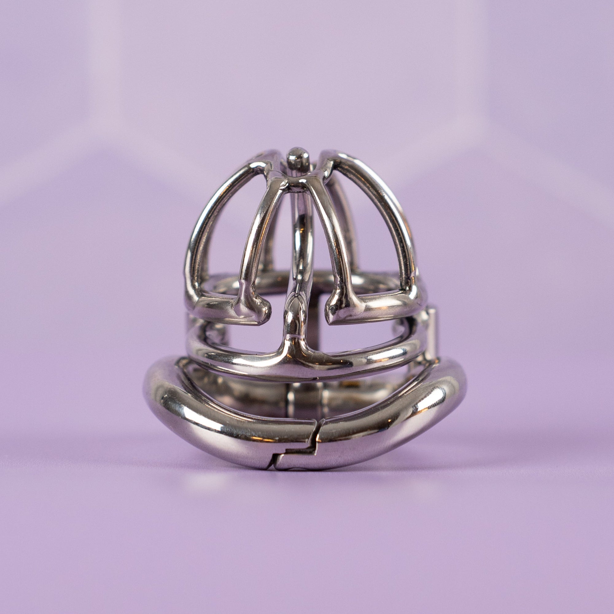 The PA Puncture Restraint Chastity Cage