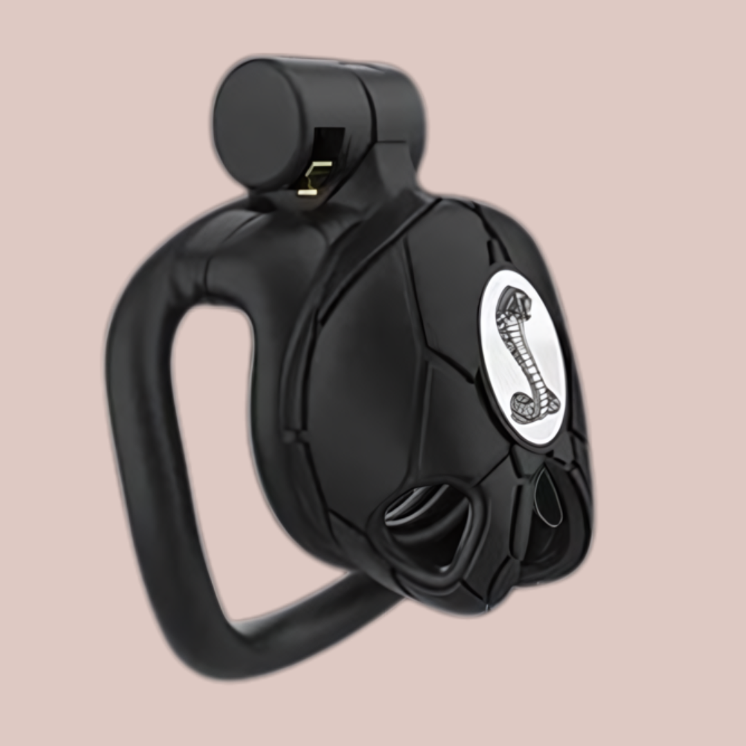 The Python V8 Nano