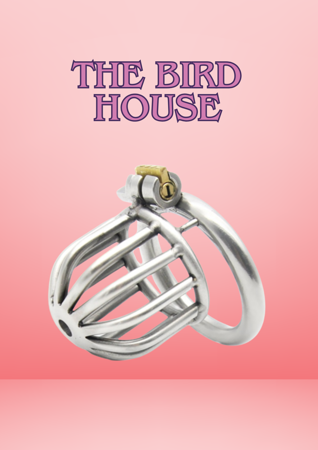 The Bird House chastity cage shown from all angles and being assembled.